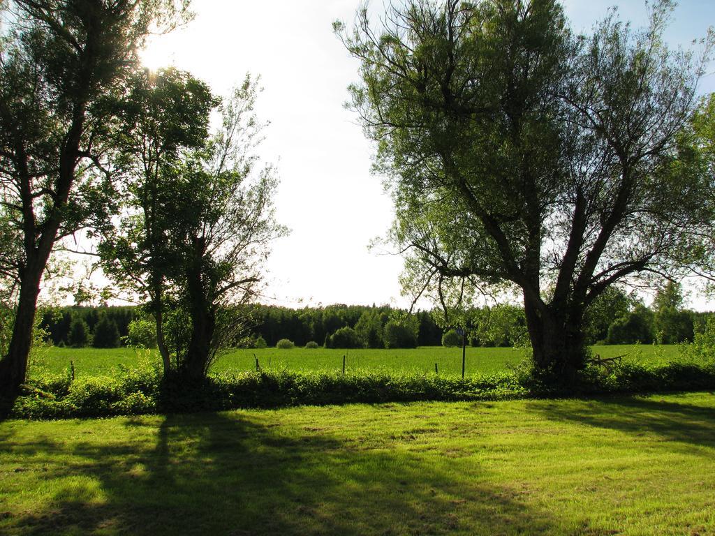 Soedra Ljunga Vandrarhem Ljungby (Kronoberg) Quarto foto